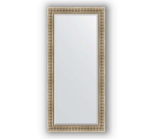 Зеркало в багетной раме Evoform Exclusive BY 1308 77 x 167 см, серебряный акведук