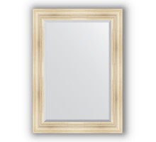 Зеркало в багетной раме Evoform Exclusive BY 3471 79 x 109 см, травленое серебро