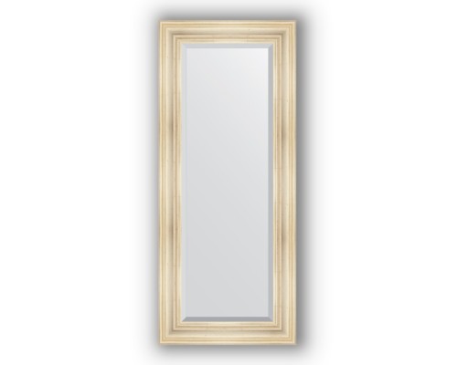 Зеркало в багетной раме Evoform Exclusive BY 3523 59 x 139 см, травленое серебро