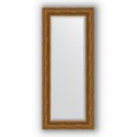 Зеркало в багетной раме Evoform Exclusive BY 3524 59 x 139 см, травленая бронза