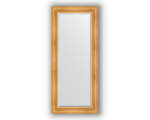 Зеркало в багетной раме Evoform Exclusive BY 3574 69 x 159 см, травленое золото