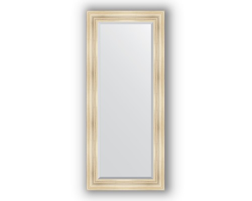 Зеркало в багетной раме Evoform Exclusive BY 3575 69 x 159 см, травленое серебро