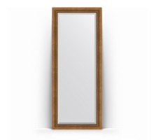 Зеркало в багетной раме Evoform Exclusive Floor BY 6122 82 x 202 см, бронзовый акведук