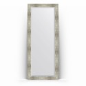 Зеркало в багетной раме Evoform Exclusive Floor BY 6181 81 x 201 см, алюминий