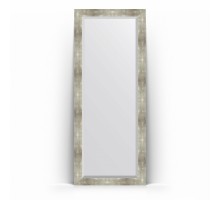 Зеркало в багетной раме Evoform Exclusive Floor BY 6181 81 x 201 см, алюминий
