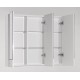 Зеркало-шкаф Style Line Ассоль 80 ЛС-00000328 Люкс, 80 см, подвесное, техно платина
