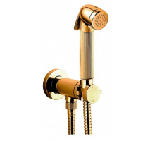 Гигиенический душ Bossini Nikita Mixer Set, со смесителем, золото, E37008B.021