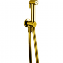 Гидроершик Cisal Shower со шлангом 120 см, вывод с держателем, золото, A300791024