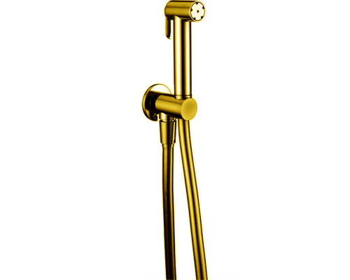 Гидроершик Cisal Shower со шлангом 120 см, вывод с держателем, золото, A300791024