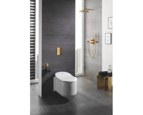 Верхний душ Grohe Rainshower Cosmopolitan 26066GL0, 31х31 см, 1 режим струи, с держателем, холодный рассвет глянец