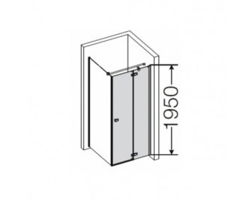 Душевая дверь распашная Provex Combi0015 CT 05 GL (L/R)