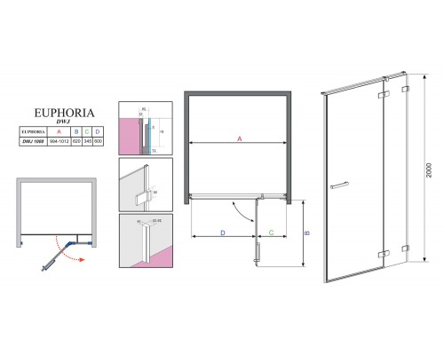 Душевая дверь в нишу Radaway Euphoria DWJ 100 R