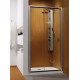 Душевая дверь в нишу Radaway Premium Plus DWJ 33313-01 120 см