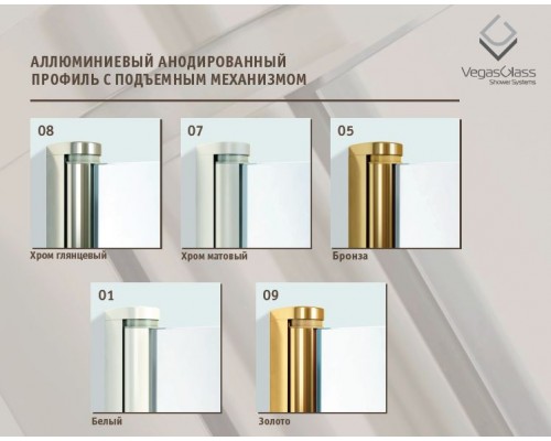 Душевая дверь распашная, одностворчатая Vegas Glass AFP Lux 0100, с подъемным механизмом, 100*199,5 см