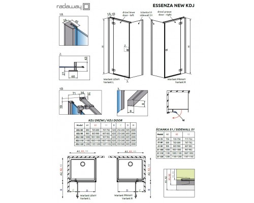 Душевой уголок Radaway Essenza New KDJ 80 x 80 см, правая дверь