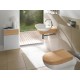 Раковина Villeroy&Boch My Nature Plus 4110 60R1