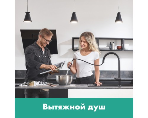 Кухонный смеситель Hansgrohe Talis M54, 72803670, с вытяжным изливом, в комплекте с коробом sBox для шланга, черный матовый