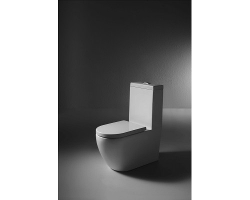 Напольный унитаз моноблок Bravat Gina C02005W-3-ENG сиденье с микролифтом, белый