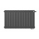 Радиатор Royal Thermo Piano Forte 500 VDR 12 секции, настенный, черный (Noir Sable), RTPNNSVD50012, НС-1338427
