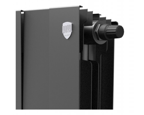 Радиатор Royal Thermo Piano Forte 500 VDR 12 секции, настенный, черный (Noir Sable), RTPNNSVD50012, НС-1338427