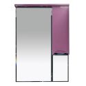 Зеркальный шкаф Misty Жасмин - 65 Зеркало - шкаф R розовый П-Жас02065-122СвП