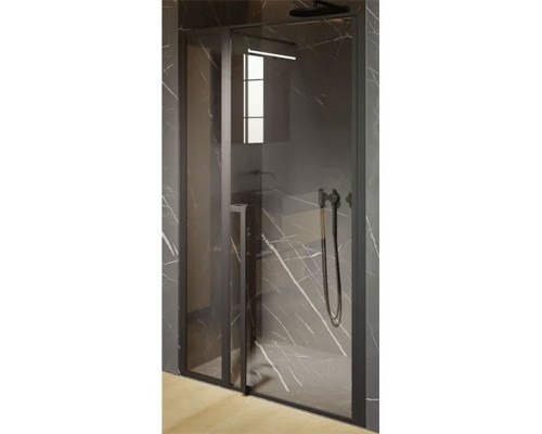 Душевая дверь в нишу Riho Lucid GD104 XL G005005121 цвет профиля - черный, 120 x 200 см