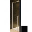 Душевая дверь в нишу Riho Lucid GD101 G005002121 цвет профиля - черный, 90 x 200 см