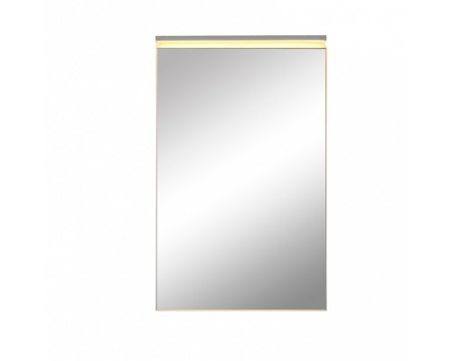 Зеркальный шкаф De Aqua Алюминиум 50 AL 501 050 G золото фацет