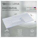 Раковина для ванной полувстраиваемая Uperwood Lotus 100 см, прямоугольная, белая глянцевая