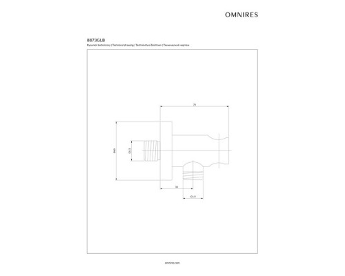 Шланговое подключение Omnires, брашированное золото, 8873GLB Elit-san.ru