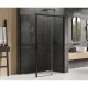 Душевое ограждение NEW TRENDY PRIME BLACK R 120x80x200 D-0321A/D-0128B (черный) Elit-san.ru