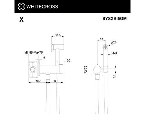 Термостатическая cистема для биде скрытого монтажа WHITECROSS SYSXBI5GM (оружейная сталь)