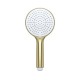 Лейка для душа IDDIS Optima Home золото матовое (OPH3FMGi18)