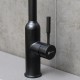 Смеситель Lemark Expert для кухни с поворотным изливом (LM5079BL)