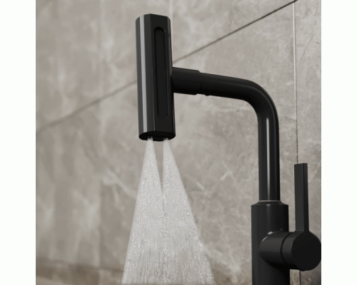 Смеситель для кухни с поворотной лейкой RUSH Tinos (TI3732-17Black) Смеситель для кухни с поворотной лейкой RUSH Tinos (TI3732-17Black)