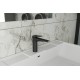Смеситель для умывальника,черный RUSH Nevis (NE1735-12black)