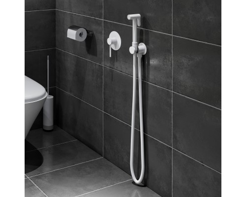 Смеситель встроенный с гигиеническим душем Timo Saona белый матовый )2389/16SM) Смеситель встроенный с гигиеническим душем Timo Saona белый матовый )2389/16SM)