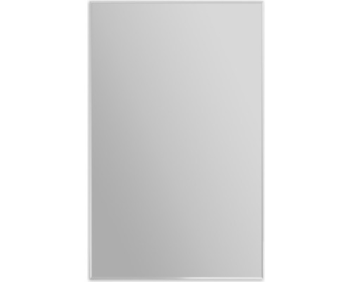 Зеркало 50x80 см BelBagno SPC-AL-500-800