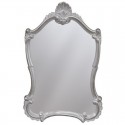 Зеркало 56,2x87,5 см серебро Caprigo PL90-CR