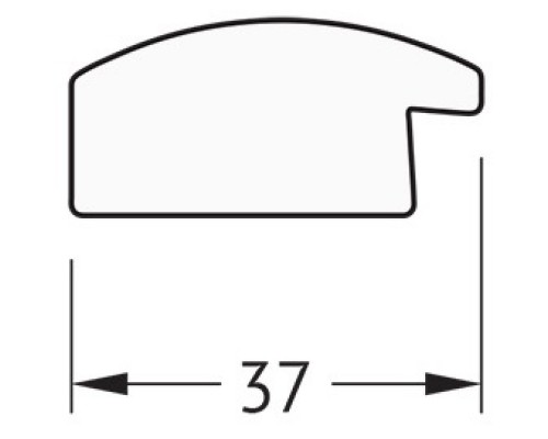 Зеркало 50x100 см состаренное серебро Evoform Definite BY 0696