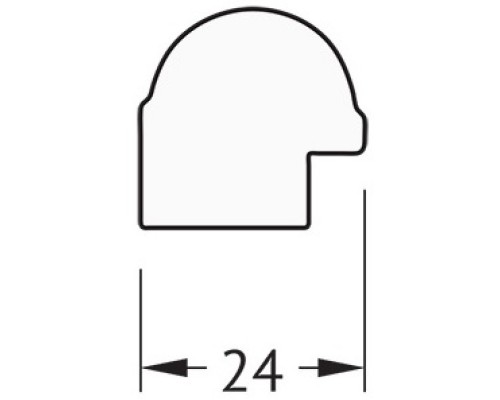 Зеркало 67x127 см серебряный бамбук Evoform Definite BY 0745