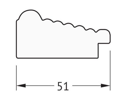 Зеркало 53x73 см сухой тростник Evoform Definite BY 0794