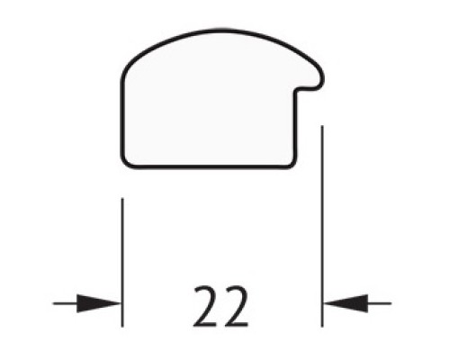 Зеркало 34x44 см махагон Evoform Definite BY 1325