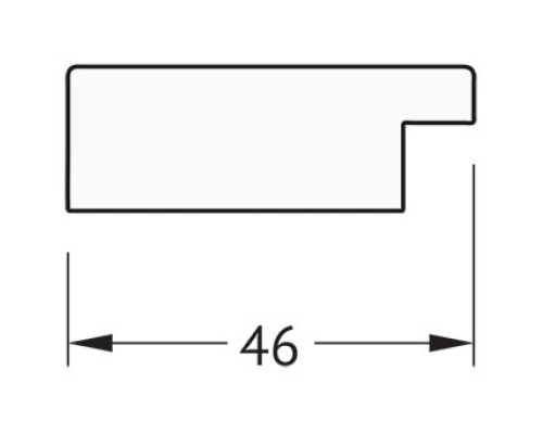 Зеркало 51x101 см серебряный дождь Evoform Definite BY 3069