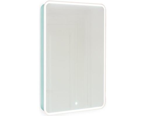 Зеркальный шкаф 45,5x85,5 см бирюзовый бриз R Jorno Pastel Pas.03.46/BL