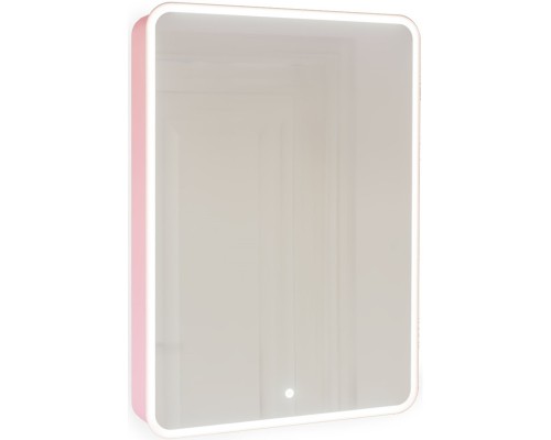 Зеркальный шкаф 60x85,5 см розовый иней R Jorno Pastel Pas.03.60/PI