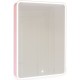 Зеркальный шкаф 60x85,5 см розовый иней R Jorno Pastel Pas.03.60/PI