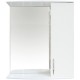Зеркальный шкаф 50x70,1 см белый глянец Orange Роса Ro-50ZSW