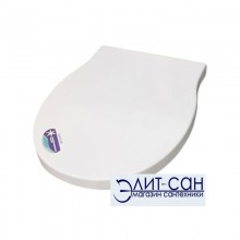 Крышка-сиденье Сантек АЛЛЕГРО 1.WH30.2.438 быстросъемная с микролифтом
