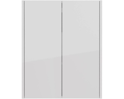 Шкаф двустворчатый 60x75 см белый глянец Lemark Combi LM03C60SH